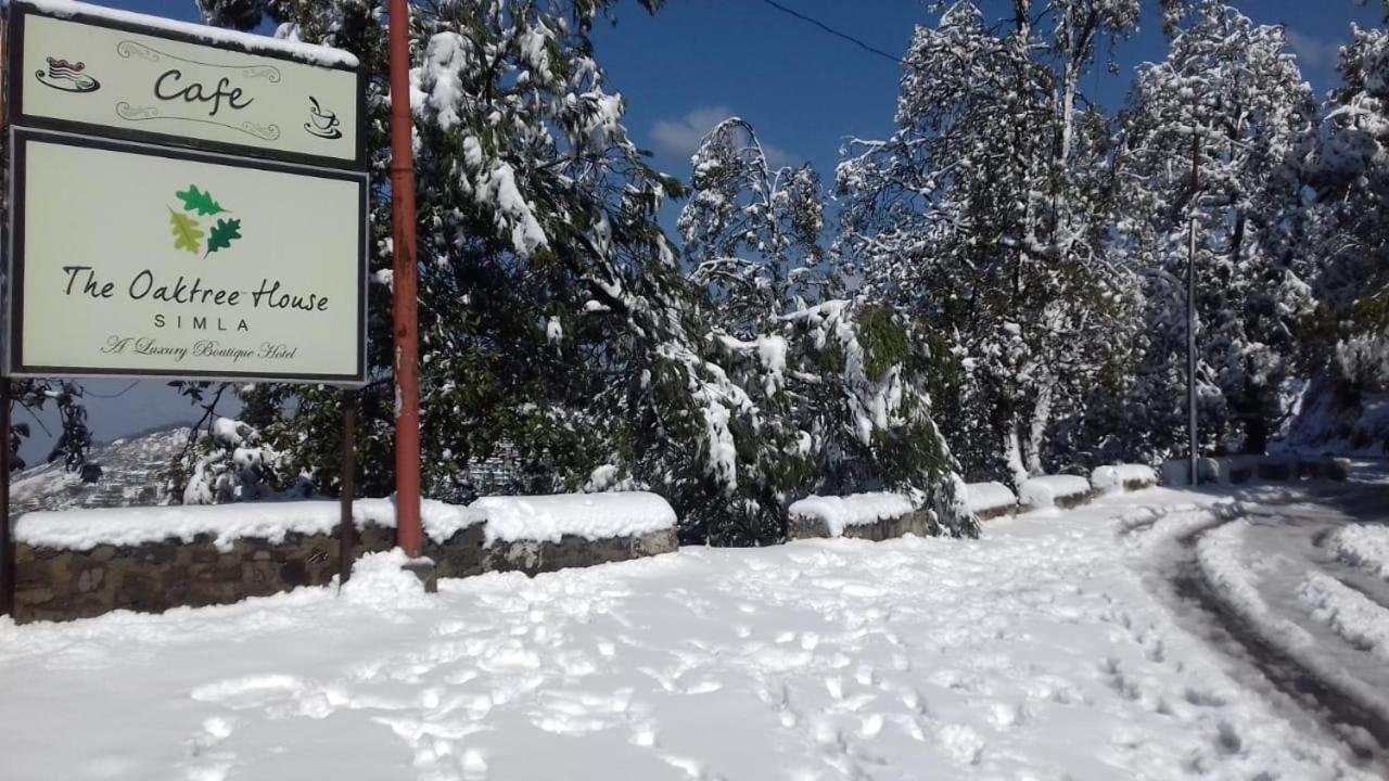 The Oaktree House Hotel Shimla Exterior photo